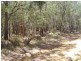Russell Island QLD 4184