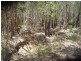 Russell Island QLD 4184