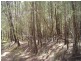 Russell Island QLD 4184