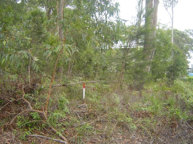 56 Hacking Ridge Road, Russell Island QLD 4184