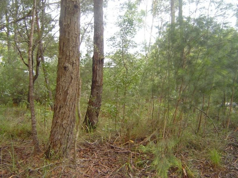 56 Hacking Ridge Road, Russell Island QLD 4184