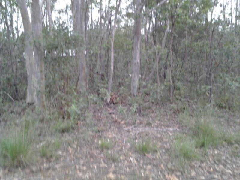 Russell Island QLD 4184