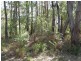 Russell Island QLD 4184