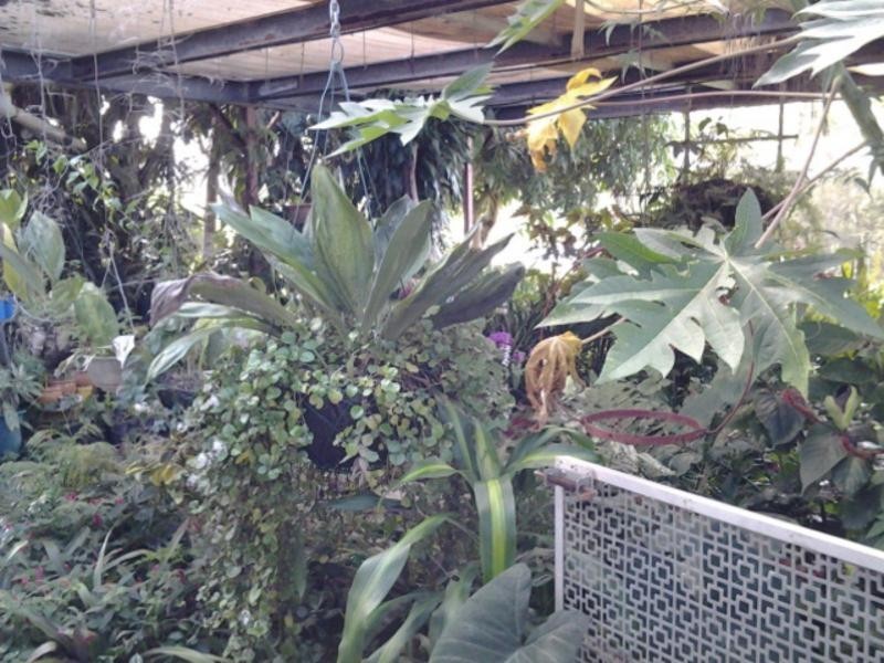 Russell Island QLD 4184