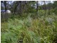 Russell Island QLD 4184