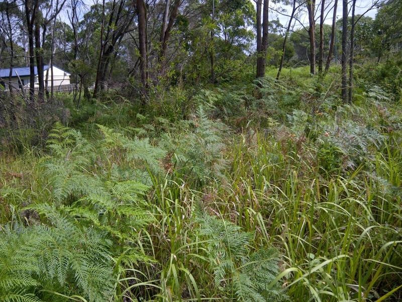 Russell Island QLD 4184