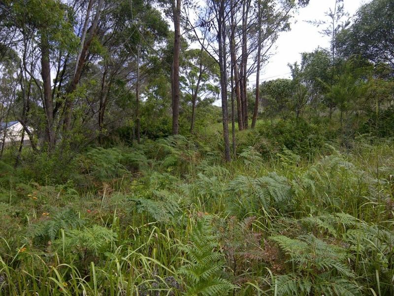 Russell Island QLD 4184