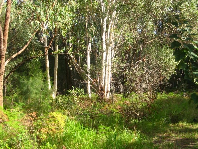 Russell Island QLD 4184