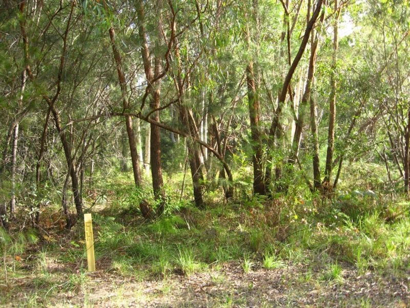 Russell Island QLD 4184