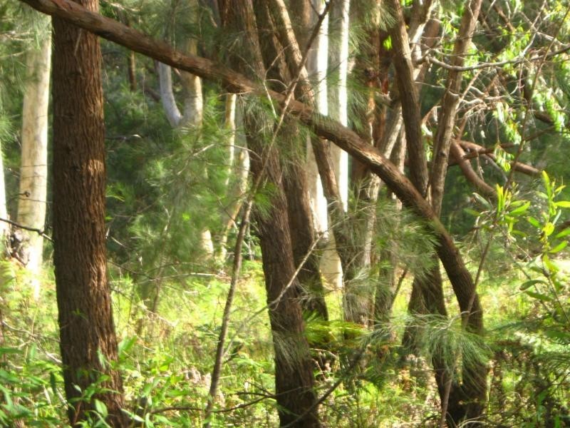 Russell Island QLD 4184