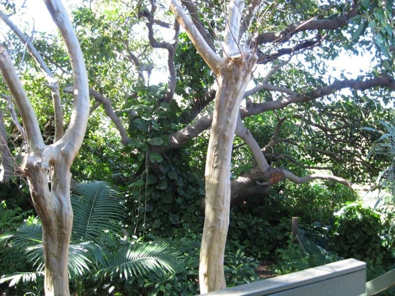 Russell Island QLD 4184