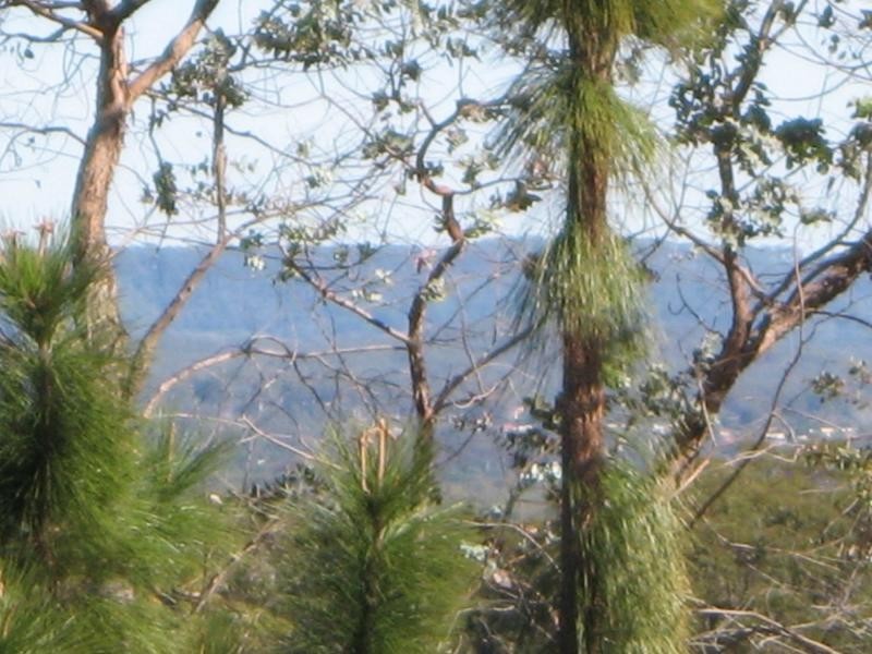 Russell Island QLD 4184