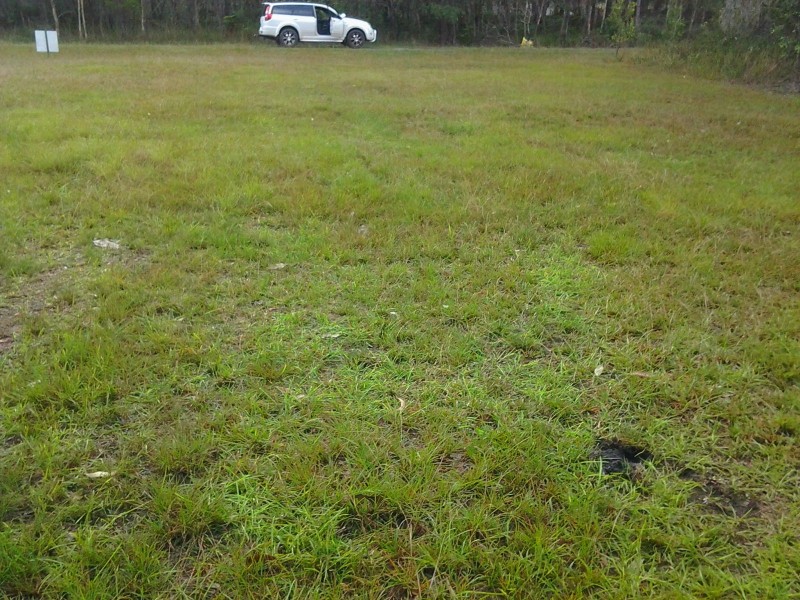 62 Lagoon Road, Russell Island QLD 4184