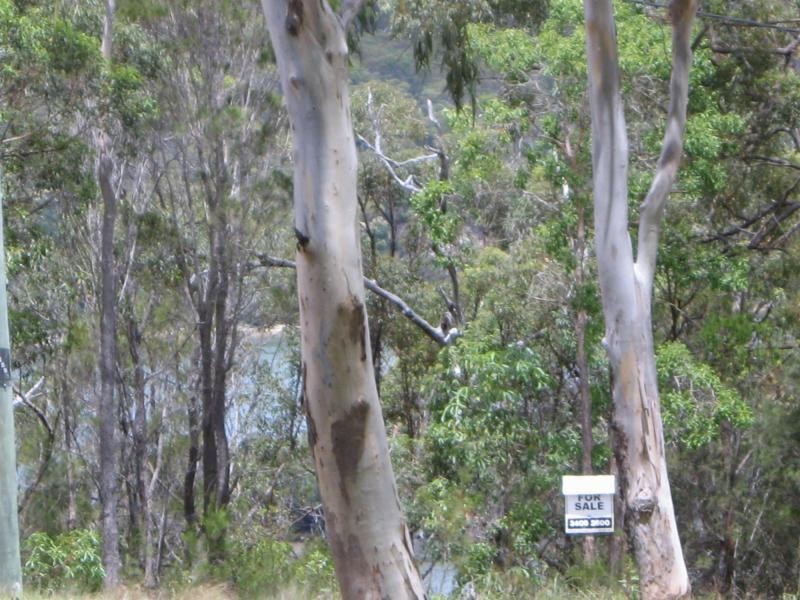 Russell Island QLD 4184