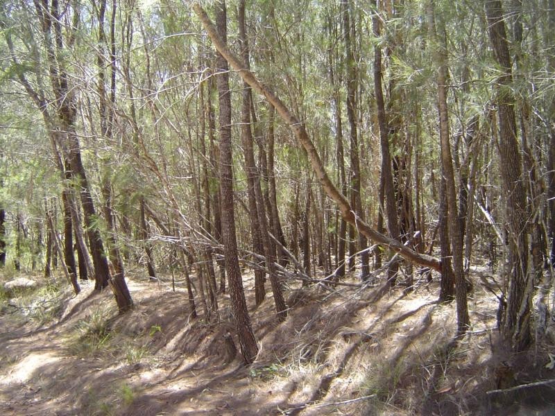 Russell Island QLD 4184