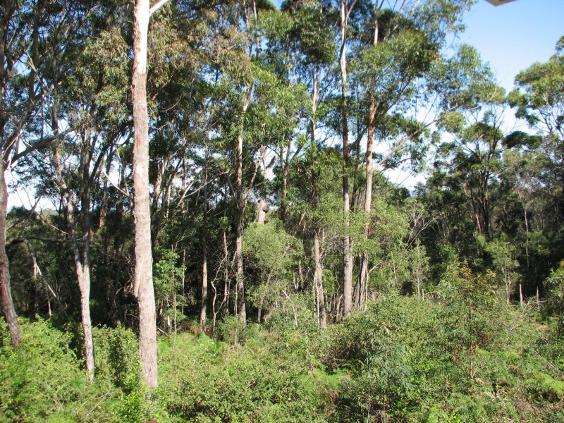 44 Belgrave Rd, Russell Island QLD 4184