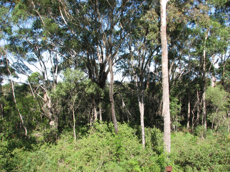 44 Belgrave Rd, Russell Island QLD 4184