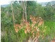 10 Naples Drive, Russell Island QLD 4184