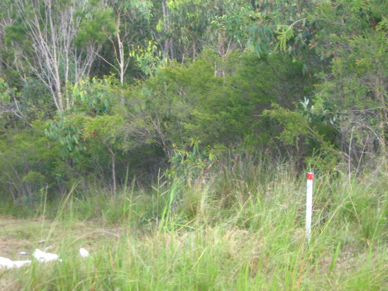 10 Naples Drive, Russell Island QLD 4184