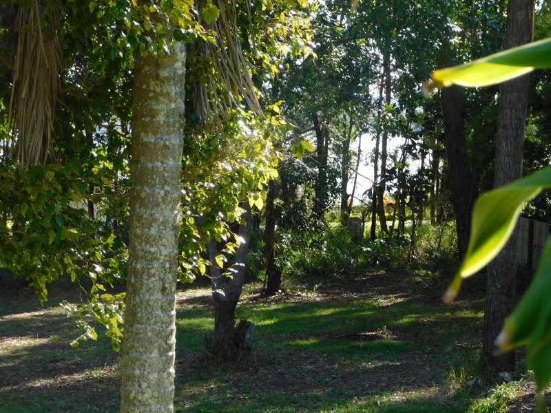 42 Ilumba St, Russell Island QLD 4184