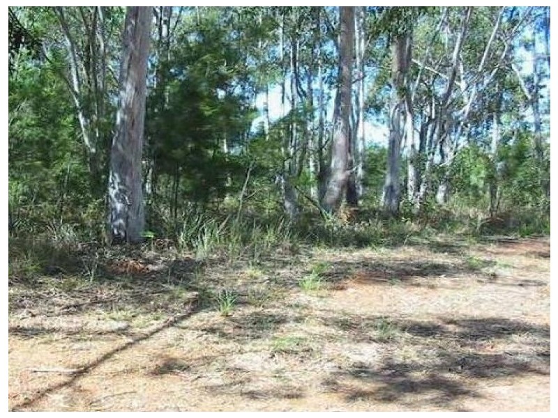 7 Canaipa Ridge Road, Russell Island QLD 4184