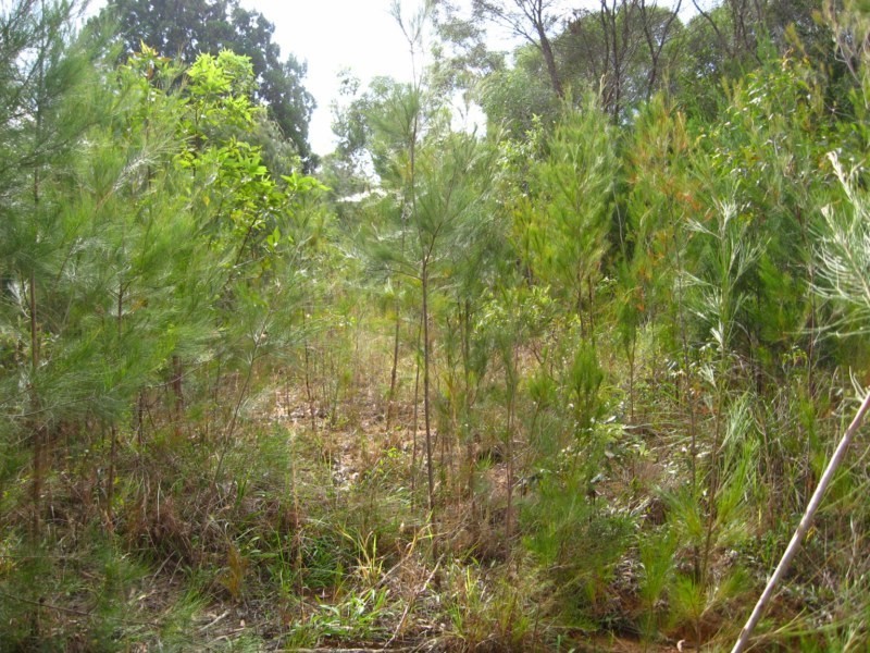 43 Little Cove Road, Russell Island QLD 4184