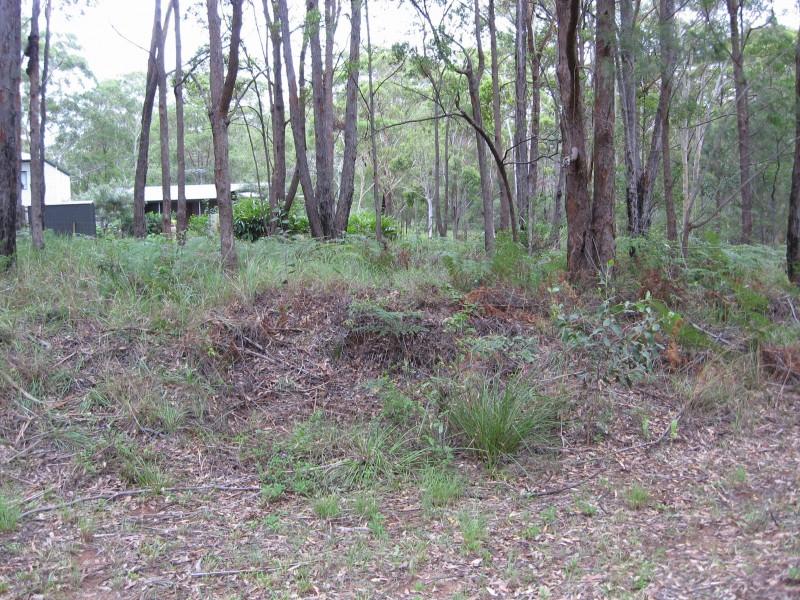 24 Cypress Avenue, Russell Island QLD 4184