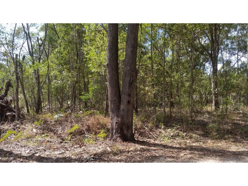 65 Tahlin Drive, Russell Island QLD 4184