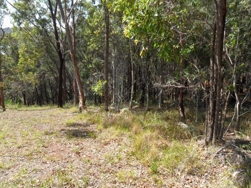 127 Wahine, Russell Island QLD 4184