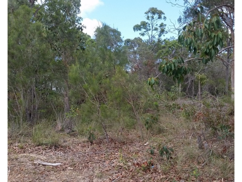 12 Carissa Street, Russell Island QLD 4184