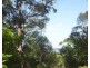 31 Magnolia Street, Russell Island QLD 4184