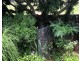 10 Phoenix St, Russell Island QLD 4184