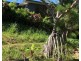 1A Bayview Rd, Russell Island QLD 4184