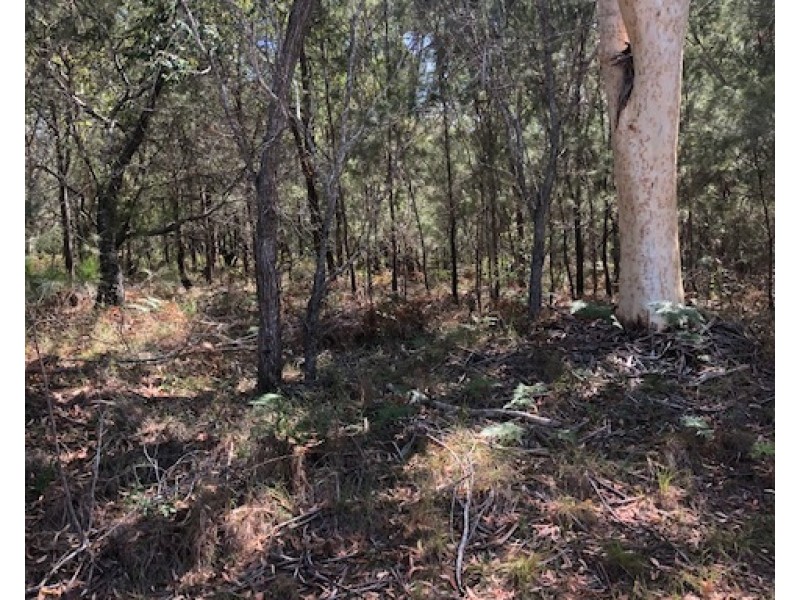 41 TAHLIN DVE, Russell Island QLD 4184