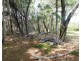 16 Scenic Drive, Russell Island QLD 4184