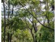 50 Deenya Pde, Russell Island QLD 4184