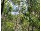 50 Deenya Pde, Russell Island QLD 4184