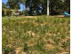 88 Laurel St, Russell Island QLD 4184