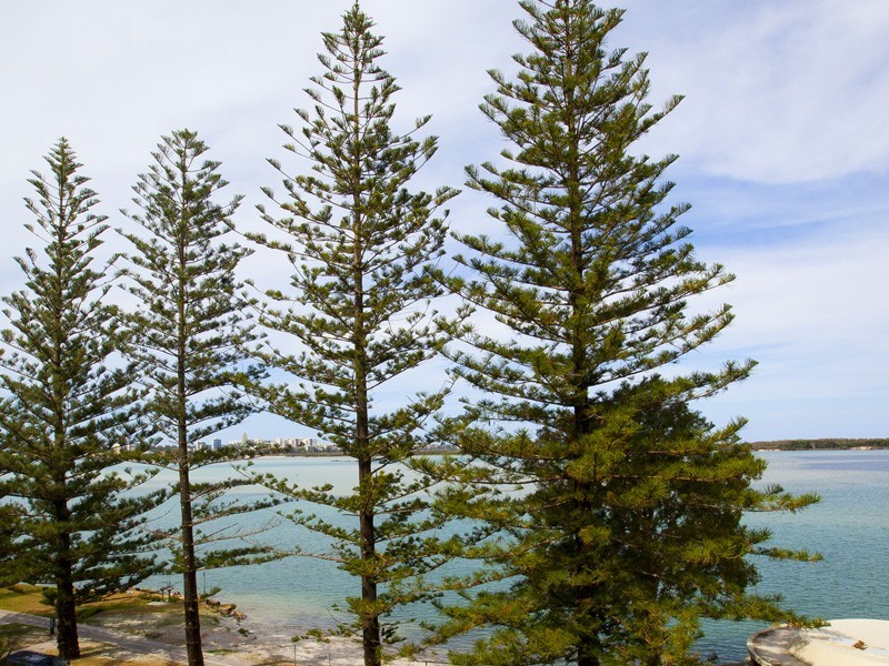 Unit 403/75 Golden Beach Esp, Golden Beach QLD 4551