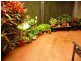 1/Lot 12 Parkridge Drive, Molendinar QLD 4214