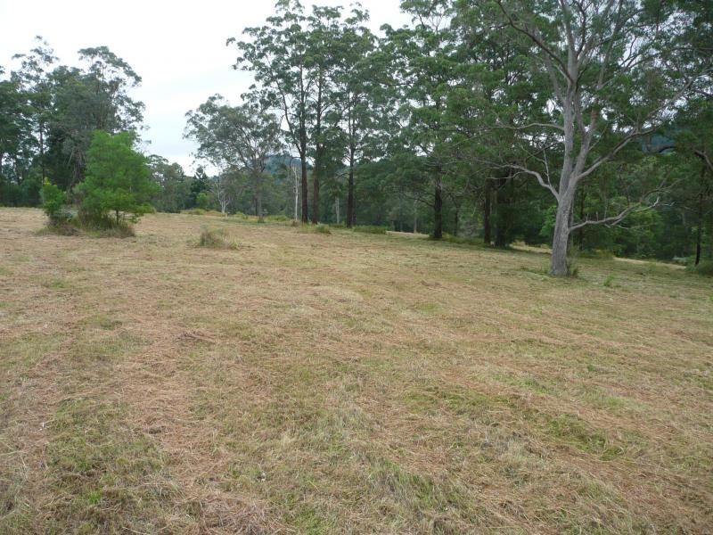 131 Upper Coomera, Witheren QLD 4275
