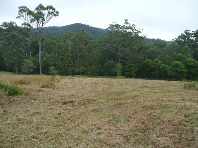 131 Upper Coomera, Witheren QLD 4275