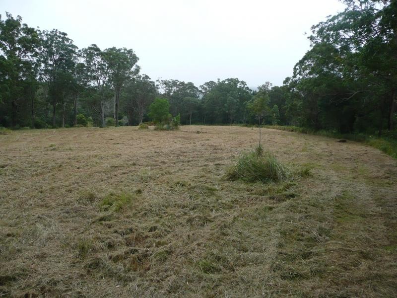 131 Upper Coomera, Witheren QLD 4275