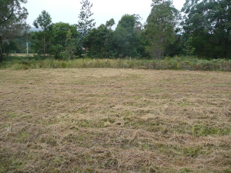 131 Upper Coomera, Witheren QLD 4275