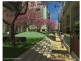 Wentworth Point NSW 2127