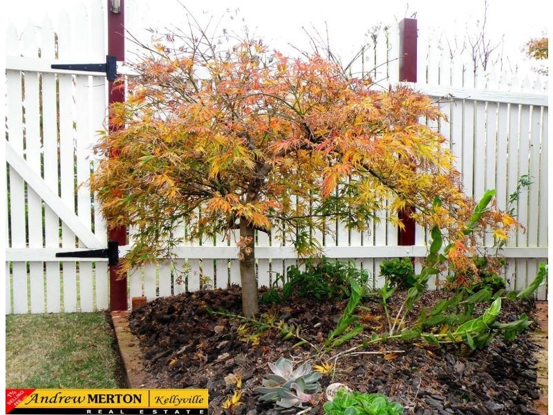 41 Macquarie Av, Kellyville NSW 2155