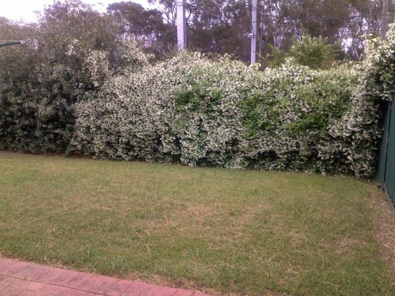 57 Manorhouse Boulevard, Quakers Hill NSW 2763