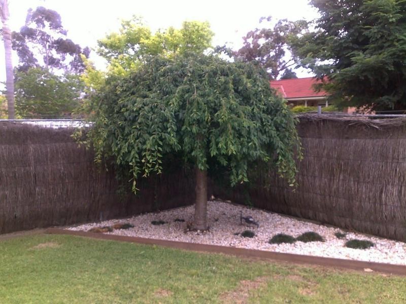 57 Manorhouse Boulevard, Quakers Hill NSW 2763