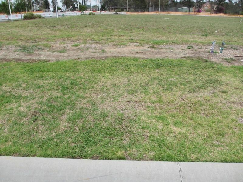 1 Amarco Circuit, The Ponds NSW 2769