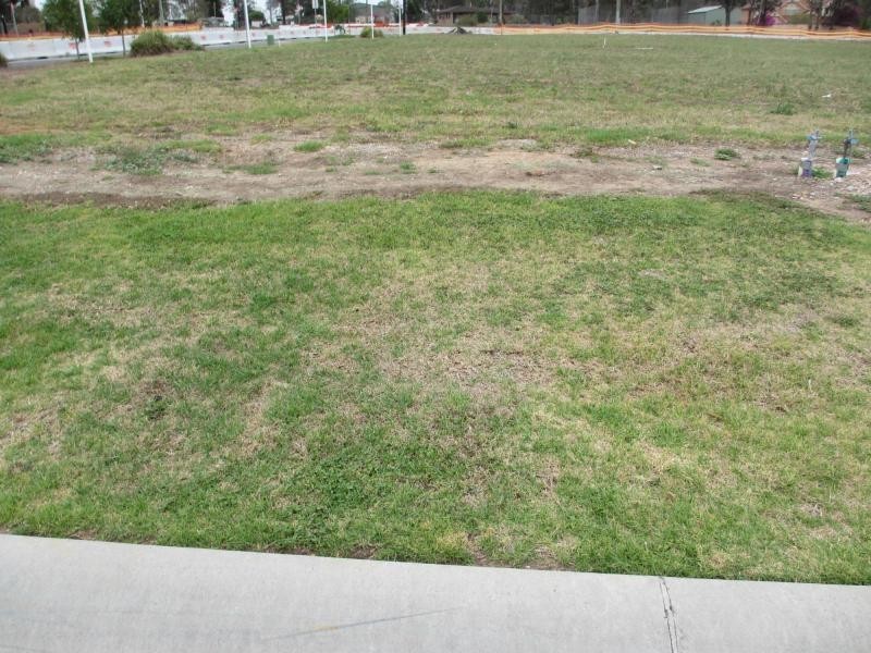 1 Amarco Circuit, The Ponds NSW 2769